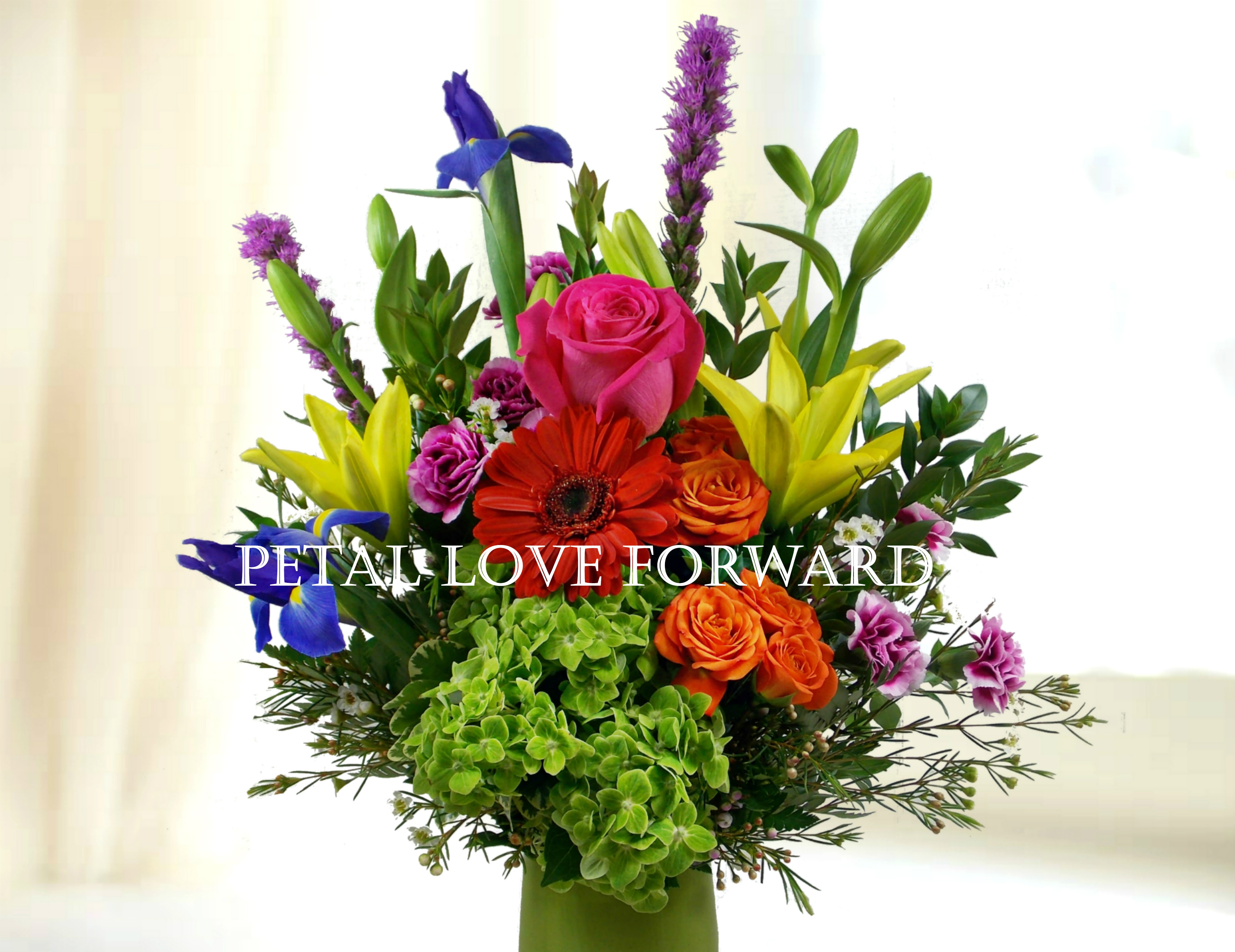 Same Day Flower Delivery Garden Grove Ca Garden Design
